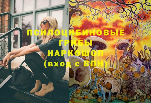 стафф Алзамай